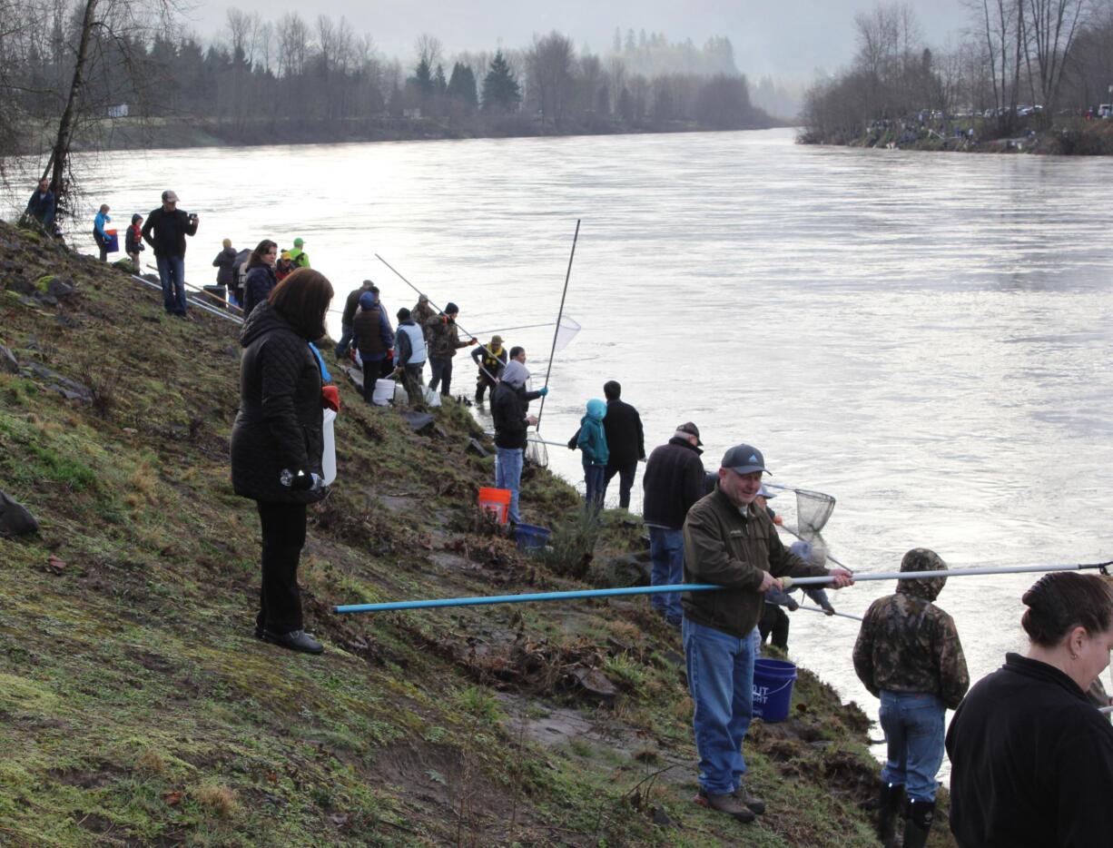 Smelt dippers crowd the banks at Lion’s Pride Park south of Castle Rock during last year’s first smelt dip of the season. Fisheries managers and health officials have decided to offer a limited smelt dip this season, but warn participants they must follow safety guidelines during the COVID-19 pandemic.