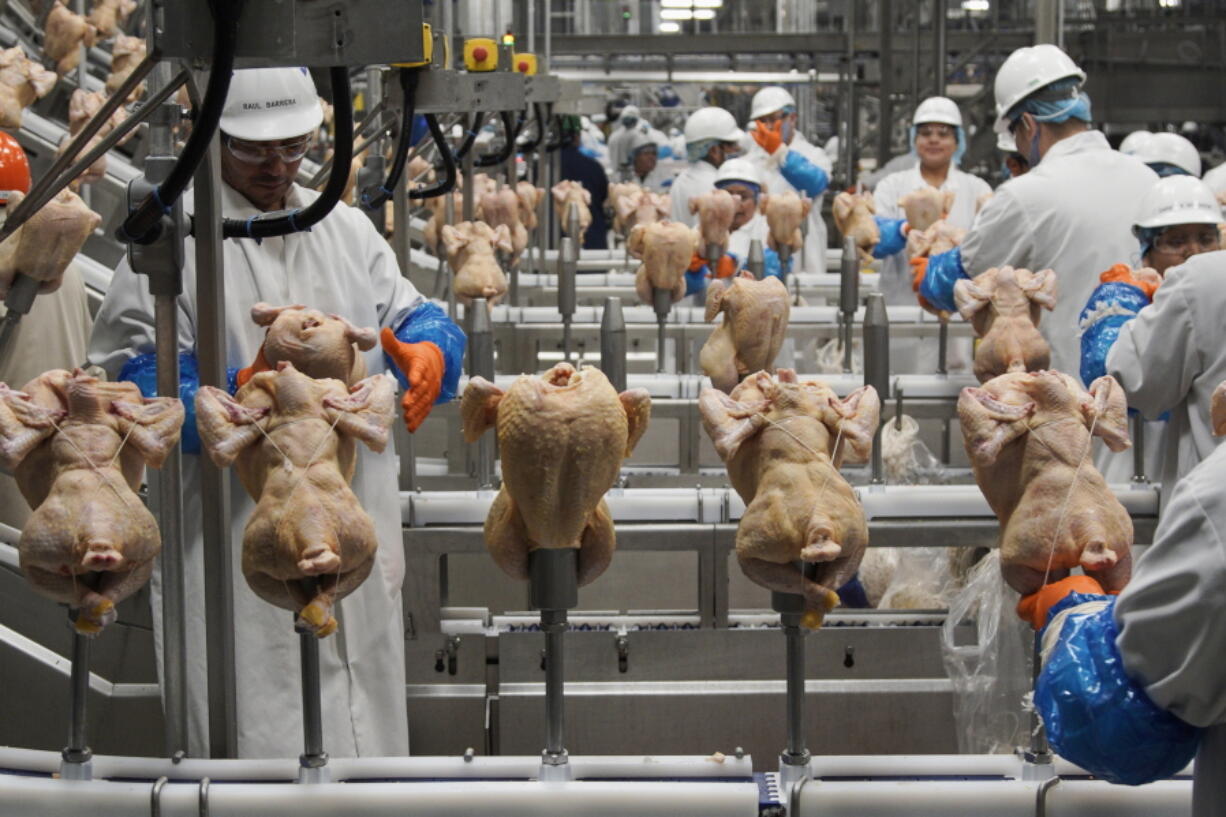 FILE - In this Dec. 12, 2019, file photo workers process chickens at the Lincoln Premium Poultry plant, Costco Wholesale&#039;s dedicated poultry supplier, in Fremont, Neb. U.S. wholesale prices rose 0.3% in August 2020, just half the July gain, as food and energy prices decline. The Labor Department said Thursday, Sept. 10 that the August advance in the producer price index -- which measures inflation before it reaches consumers -- followed a 0.6% surge in June which was the biggest monthly gain since October 2018.