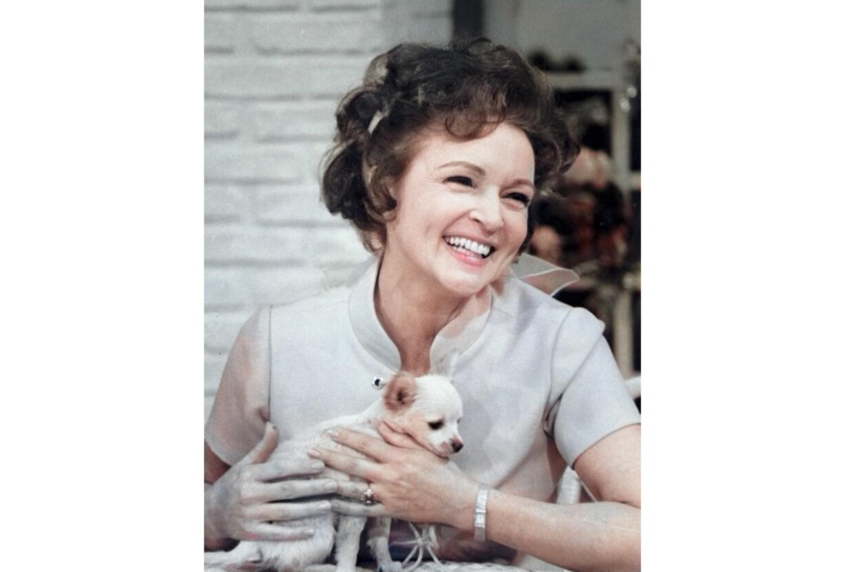 This colorized image released by Margate And Chandler, Inc. shows actress and animal activist Betty White with a puppy from her 1970s series &quot;The Pet Set.&quot; The restored 39-episode series, renamed &quot;Betty White&#039;s Pet Set,&quot; features celebrity guests Mary Tyler Moore, Carol Burnett, Burt Reynolds, James Brolin and Della Reese. (Margate And Chandler, Inc.