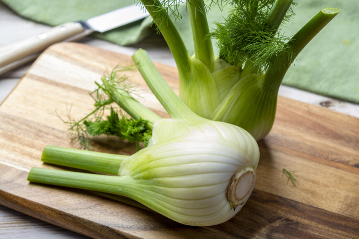 Fresh fennel bulbs (iStock.com)