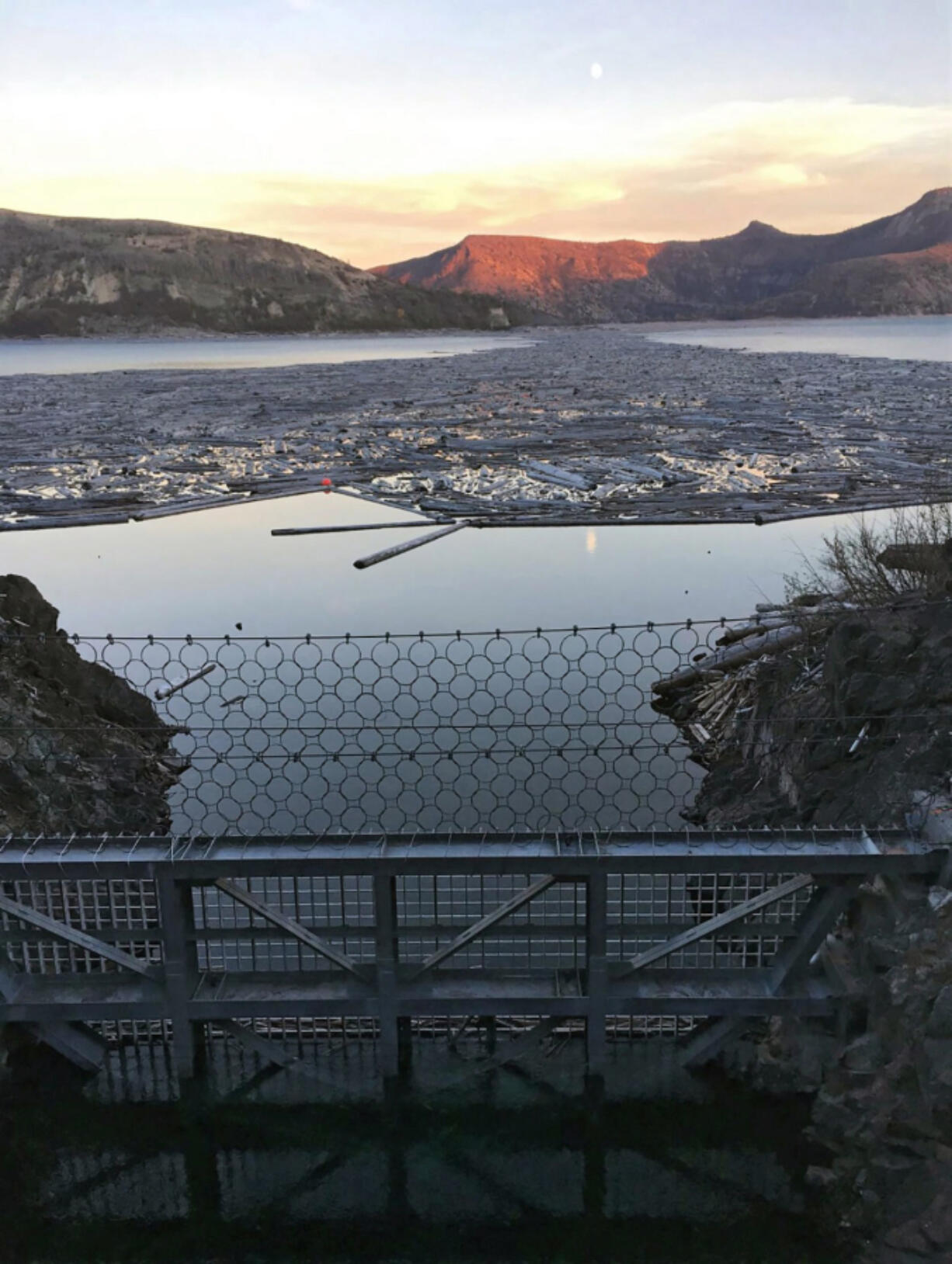 A log raft of blown-down trees still covers about 30 percent of Spirit Lake, and the U.S. Forest Service built this steel gate in 2017 to keep the logs from jamming the inlet into the lake&#039;s drainage tunnel. (U.S.