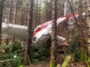 Two people suffered only minor injuries Monday when their small plane went down in a heavily wooded area near Gumboot Mountain on the Clark/Skamania County border.