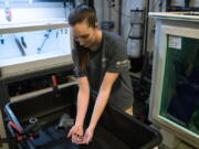 Scientist Carolyn Wheeler holds a baby epaulette shark in Quincy, Mass. Scientists have found the baby sharks are less likely to survive to maturity in warming ocean waters.