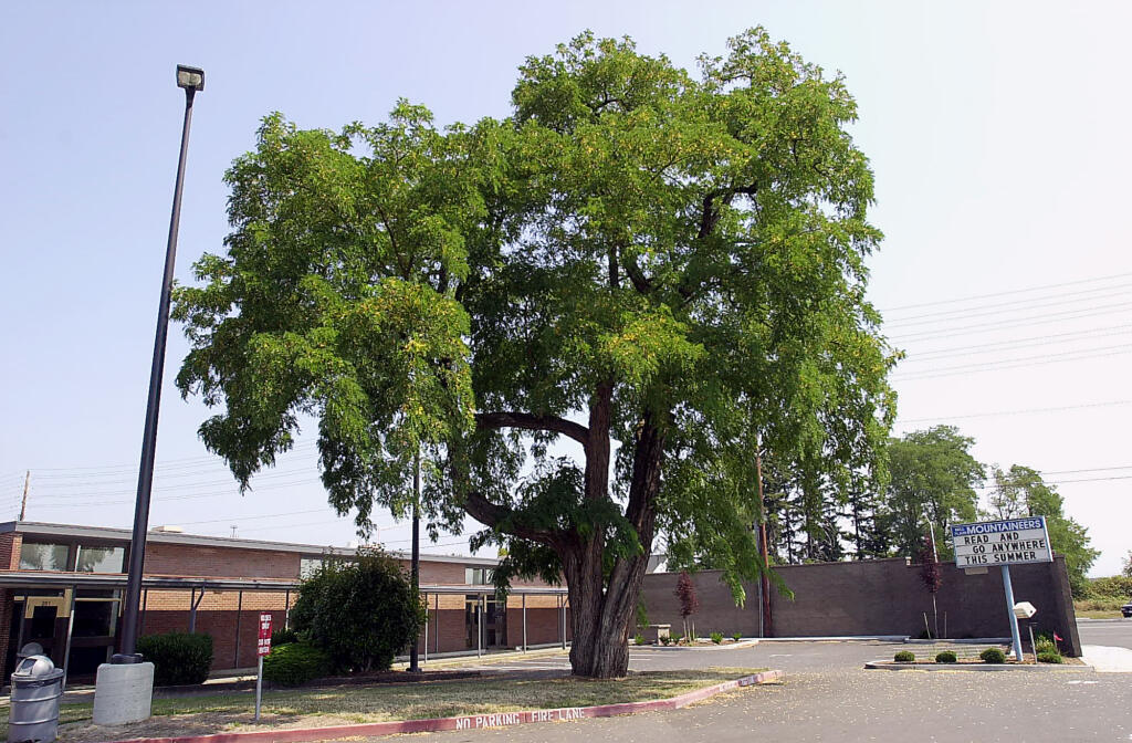 Mill Plain Elementary is slated to be replaced.