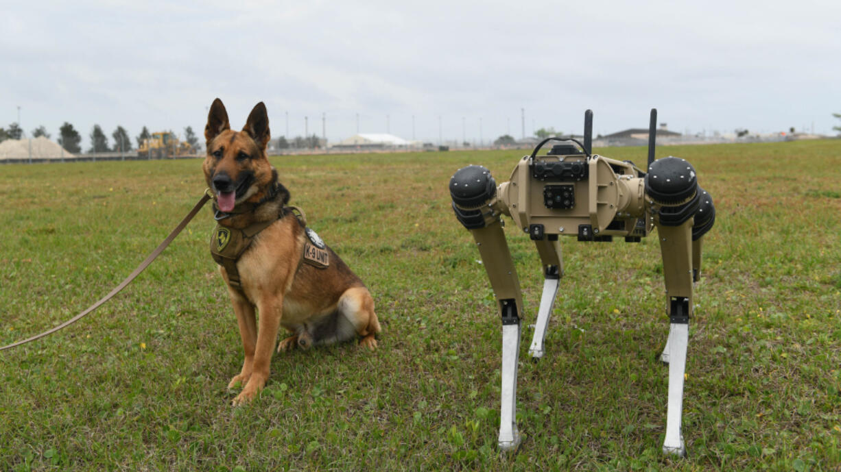 Sunny, a 325th Security Forces Squadron military working dog, poses March 24 next to a quad-legged unmanned ground vehicle at Tyndall Air Force Base, Fla. (Airman 1st Class Anabel Del Valle/U.S.