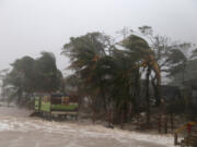 Palm trees are blown by strong winds as Nicaragua braces for Hurricane Iota on Nov. 16, in Puerto Cabezas.