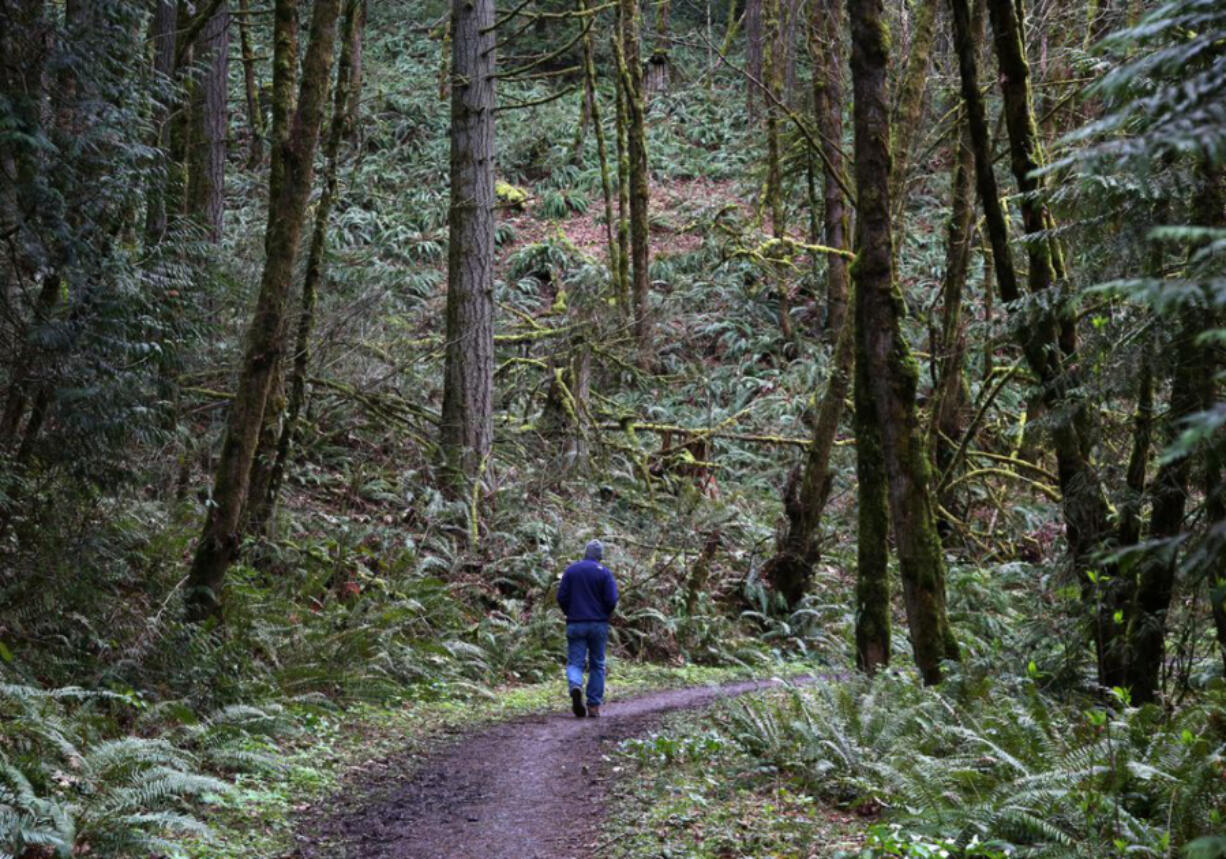 A cloudy spring day offers a calm experience on the Firelane 12 Trail in Forest Park.