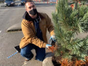 Daniel Misner with the Portland Parks &amp; Recreation Department adds red hook sedge beneath the Vanderwolf&#039;s Pyramid limber pine tree at Mill Ends Park, the smallest park in the world.