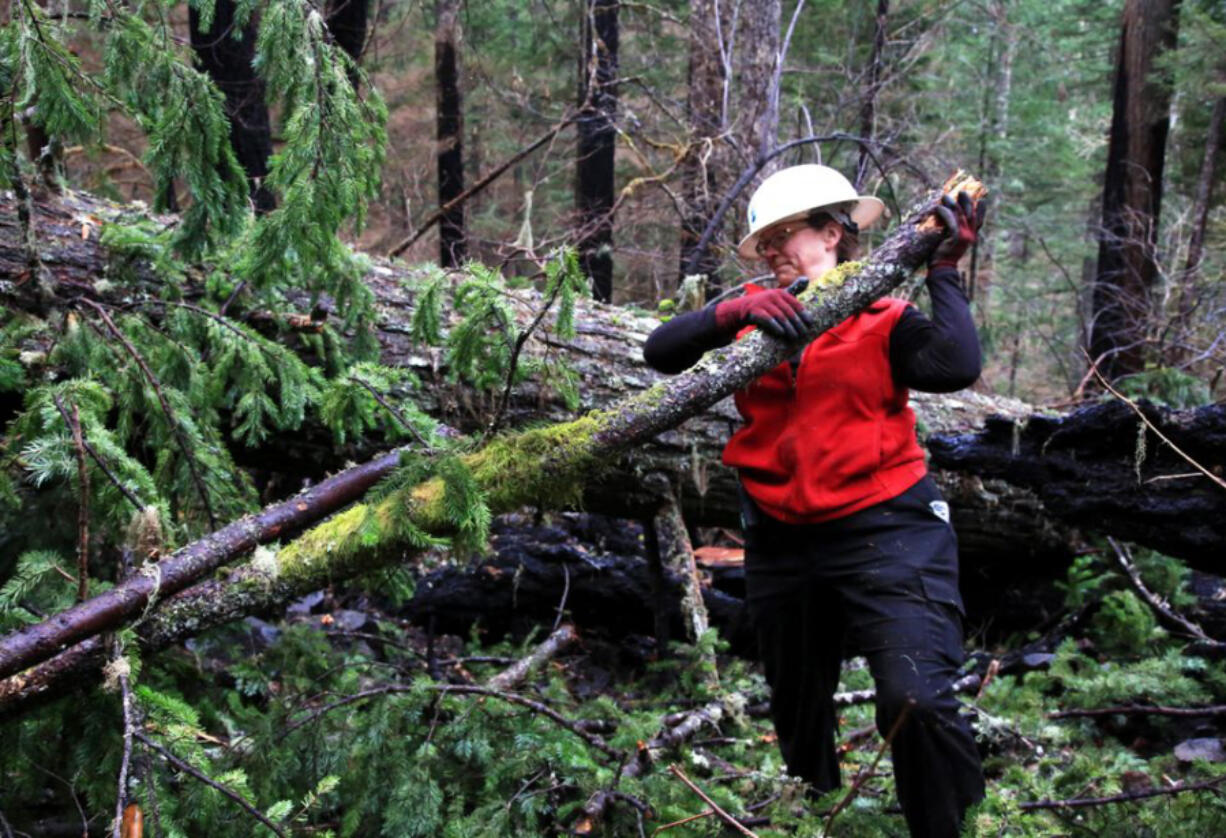 Trail crew volunteer Roberta Cobb clears a fallen limb on the Pacific Crest Trail as it winds through the burn area of the Eagle Creek fire in the Columbia River Gorge.