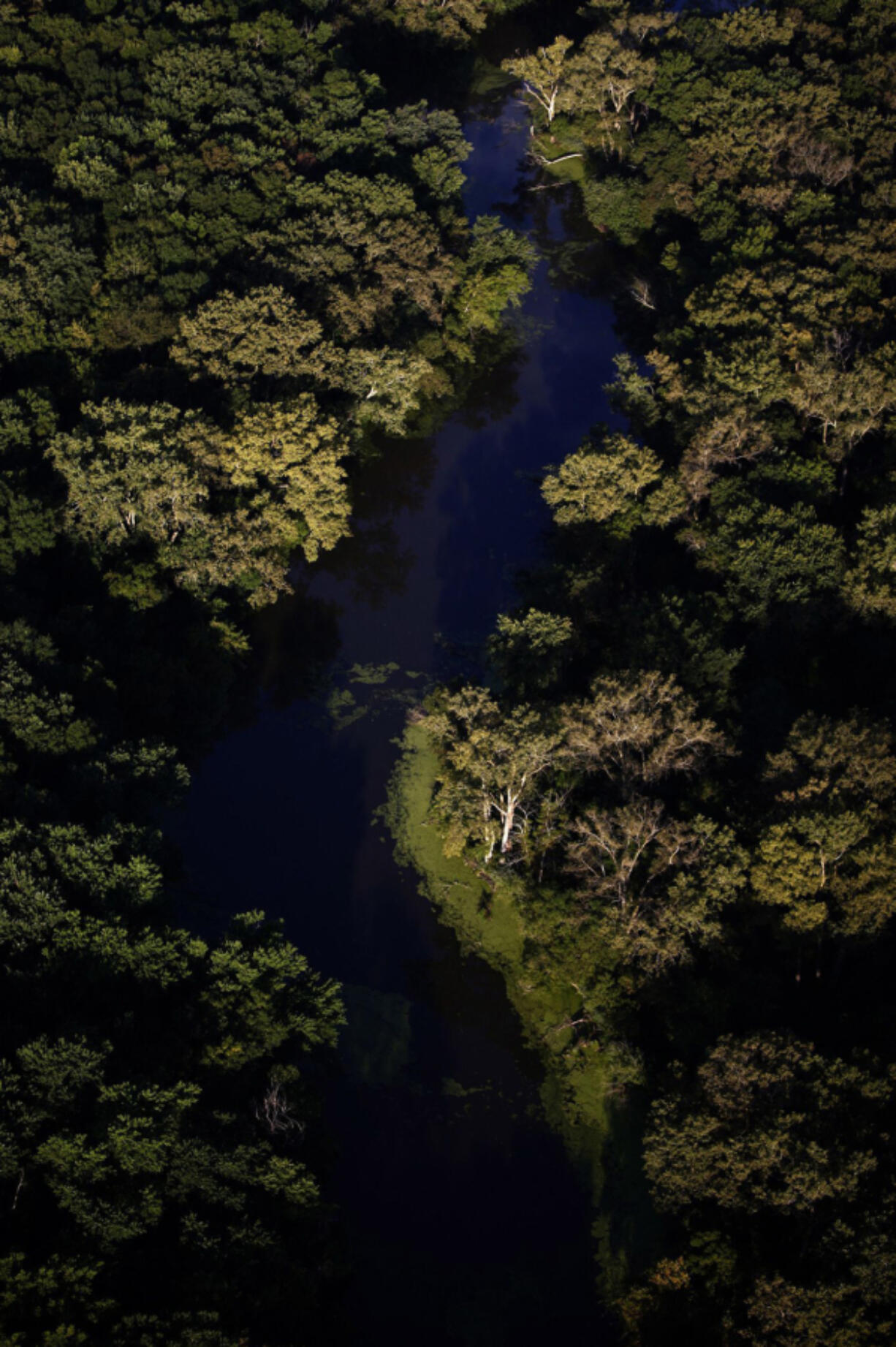 An aerial of the Skokie Lagoons on Aug. 27, 2010. The lagoons were built by the Civilian Conservation Corps, part of the New Deal.