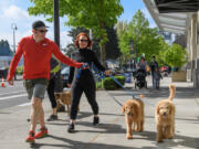 The 30th anniversary of the Humane Society for Southwest Washington's Walk/Run for the Animals is May 1.