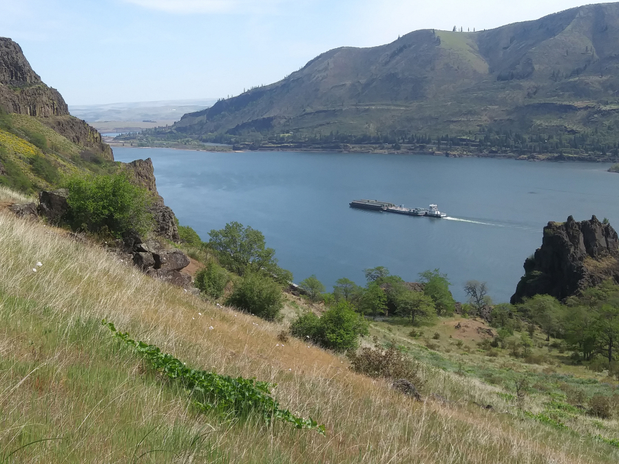 Beauty to Seduce, Beauty to Preserve: Creating the Columbia Gorge National  Scenic Area 