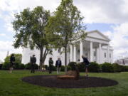 First lady Jill Biden participates in an Arbor Day tree planting ceremony at the White House, Friday, April 30, 2021, in Washington.