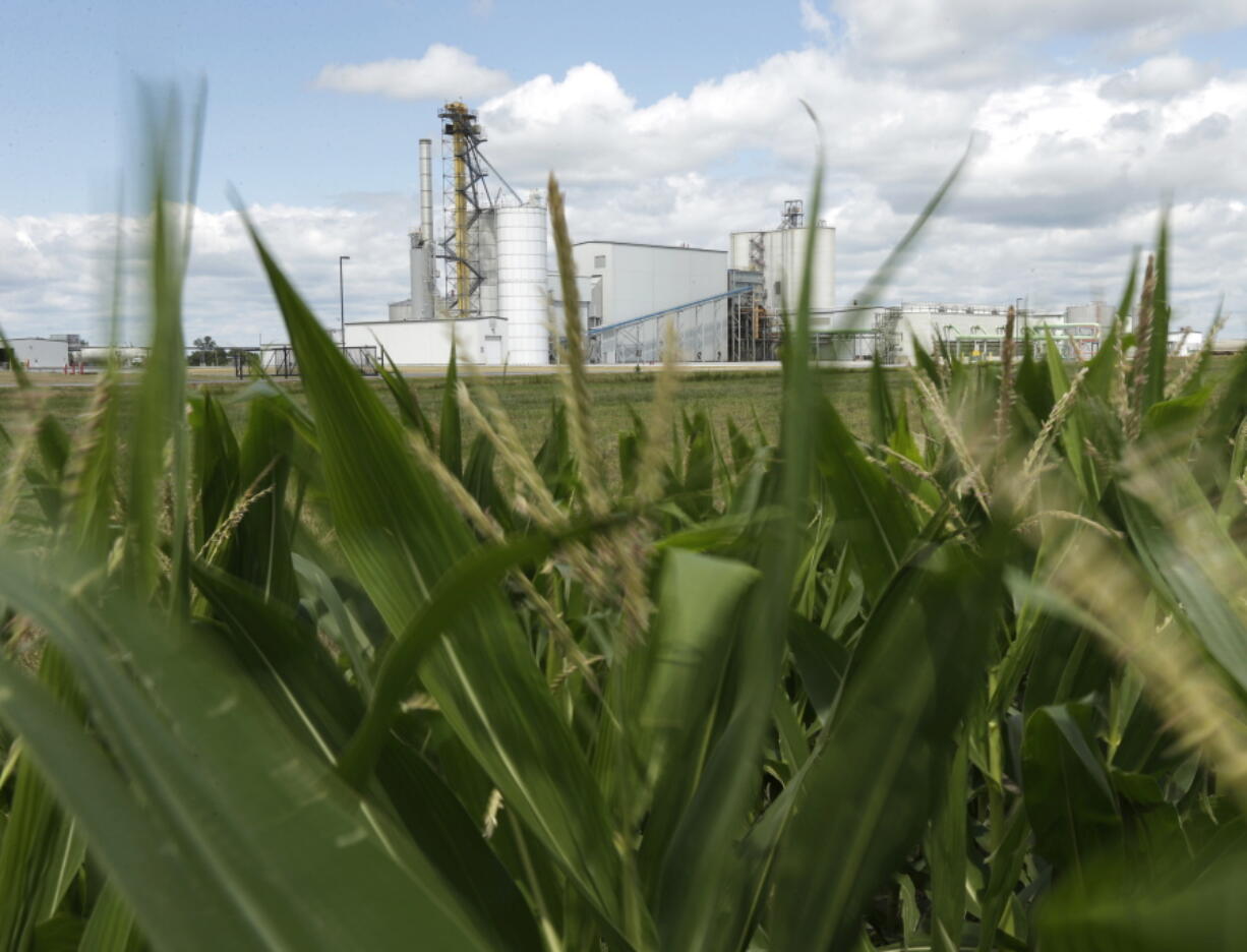 FILE - In this July 20, 2013, file photo, an ethanol plant stands next to a cornfield near Nevada, Iowa. The president and auto industry maintain the nation is on the cusp of a gigantic shift to electric vehicles and away from liquid-fueled cars, but biofuels producers and some of their supporters in Congress aren&#039;t buying it. They argue that now is the time to increase sales of ethanol and biodiesel, not abandon them.