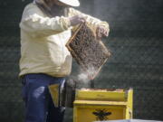 Beekeeper Francesco Capoano moves a frame from a hive at an apiary in Milan, Italy, Thursday, April 22, 2021. A bee collective is introducing 17 new colonies to their new hives on Earth Day, bringing to 1 million Milan's population of honey bees housed in boxes specially designed by artists throughout the city. The seven-year-old project is aimed at educating the public about the importance of bees to the environment, while boosting their population and providing a sweet treat of honey. It is billed as the biggest urban bee collective in Europe.