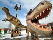 Life-sized Tyrannosaurus rex models are unloaded for a dinosaur exhibition in 2006 in Potsdam, Germany. A study released on Thursday calculates that 2.5 billion Tyrannosaurus rex prowled North America over a couple million years or so, with maybe 20,000 at any given time.