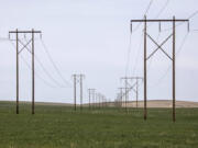 BPA lines already installed, seen on Friday, April 2, 2021, would carry the electricity from a proposed solar and wind project in the Horse Heaven Hills.