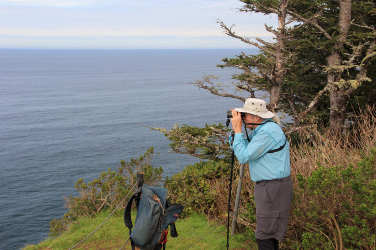 Jim Border scans the horizon for signs of whale spouts from the tip of Cape Lookout, near Tillamook, Ore., in March 2015. The trail along the north Oregon Coast is reopening after being closed more than eight months due to storm damage.