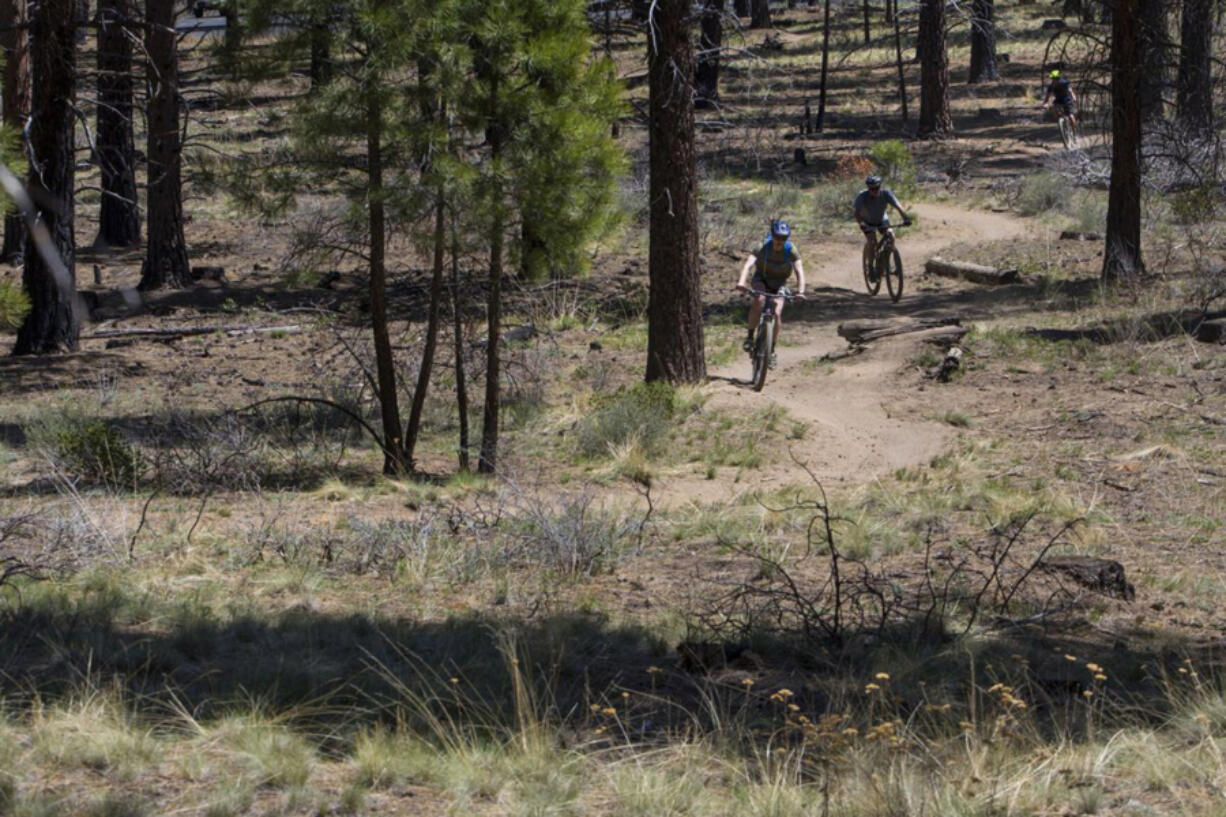 Mountain bikers make their way along the Ticket to Ride trail Saturday near the U.S. Forest Service's Cascade Lakes Welcome Station just west of Bend, Ore.