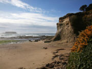 The view of Otter Crest Beach from the stairs leading down from the Inn at Otter Crest, built on the cliffs just above on the central Oregon coast.