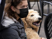 Vancouver resident Grace Wasser and poodle Archie pause at the Heathen Brewing Feral Public House in downtown Vancouver on Saturday during the Humane Society for Southwest Washington's fundraising event.