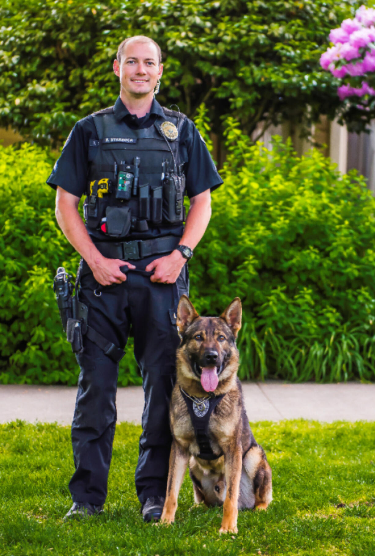 VANCOUVER: Ivar, formerly a dog within a K9 Unit at the Vancouver Police Department, recently retired and will spend his time with Cpl.