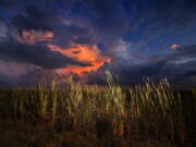 FILE - In this Oct. 20, 2019 photo, a clearing late-day storm adds drama in the sky over a sawgrass prairie in Everglades National Park in Florida.  The Biden administration is outlining a plan to sharply increase conservation of public lands and waters over the next decade. A report to be issued Thursday recommends a series of steps to achieve a nationwide goal to conserve 30% of U.S. lands and waters by 2030. (AP Photo/Robert F.