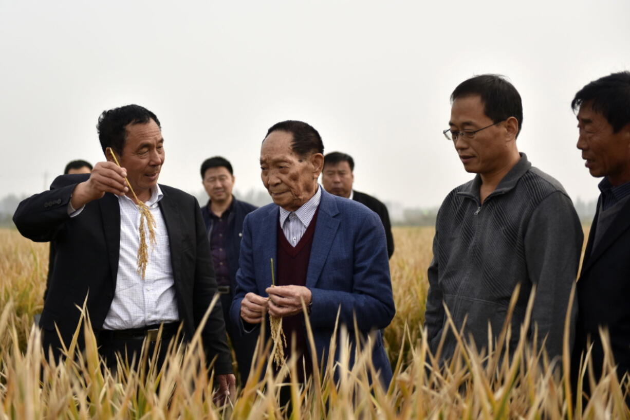 In this Oct. 15, 2017 photo, Yuan Longping, center, stands in a field of hybrid rice in Handan in northern China's Hebei Province. Yuan, a scientist who developed higher-yield varieties of rice that helped feed people around the world, died Saturday May 22, 2021, at a hospital in the city of Changsha, Xinhua News agency reported.