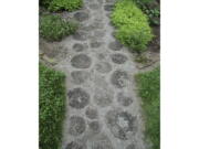 A garden path in South Salem, N.Y. This locust wood and gravel path is attractive as it provides firm footing even in wet weather.