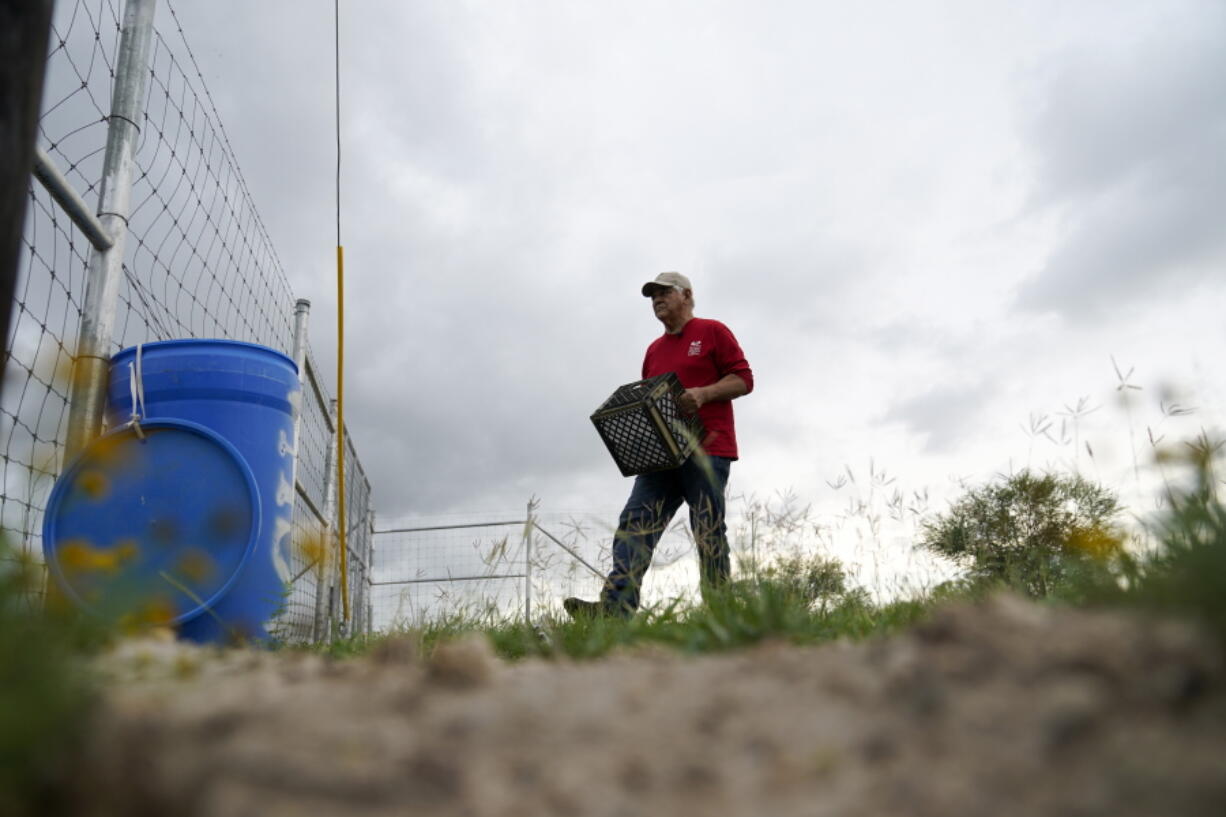 Migrant rights activist Eduardo Canales carries jugs of water to a blue water drop Saturday, May 15, 2021, in Falfurrias, Texas.  Every week, Canales fills up blue water drums that are spread throughout a vast valley of Texas ranchlands and brush. They are there for migrants who venture into the rough terrain to avoid being caught and sent back to Mexico.