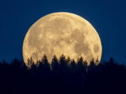 FILE - In this Thursday, May 7, 2020 file photo, the full moon sets behind trees in the Taunus region near Frankfurt, Germany. The European Space Agency, ESA, national counterparts and private companies are presenting their vision Thursday to put satellites in orbit around the moon, to make future missions to Earth's closest neighbor easier.