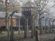 FILE- In this file photo taken Jan. 27, 2020, people are seen arriving at the site of the Auschwitz-Birkenau Nazi German death camp, where more than 1.1 million were murdered, in Oswiecim, Poland, for observances marking 75 years since the camp's liberation by the Soviet army. Needham, Massachusetts-based TripAdvisor on Thursday, May 6, 2021, faced criticism from the camp's museum and memorial after an author posted an inappropriate review of the museum on the TripAdvisor website, stating the reviewer visited to "test the chamber". The company originally declined to remove the message.