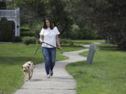 Beth Wawrzaszek, of Naperville, Illinois, takes her dog Summer out for a short walk outside her apartment on May 21, 2021. Wawrzaszek has hired a dog walker to help while she is at work.