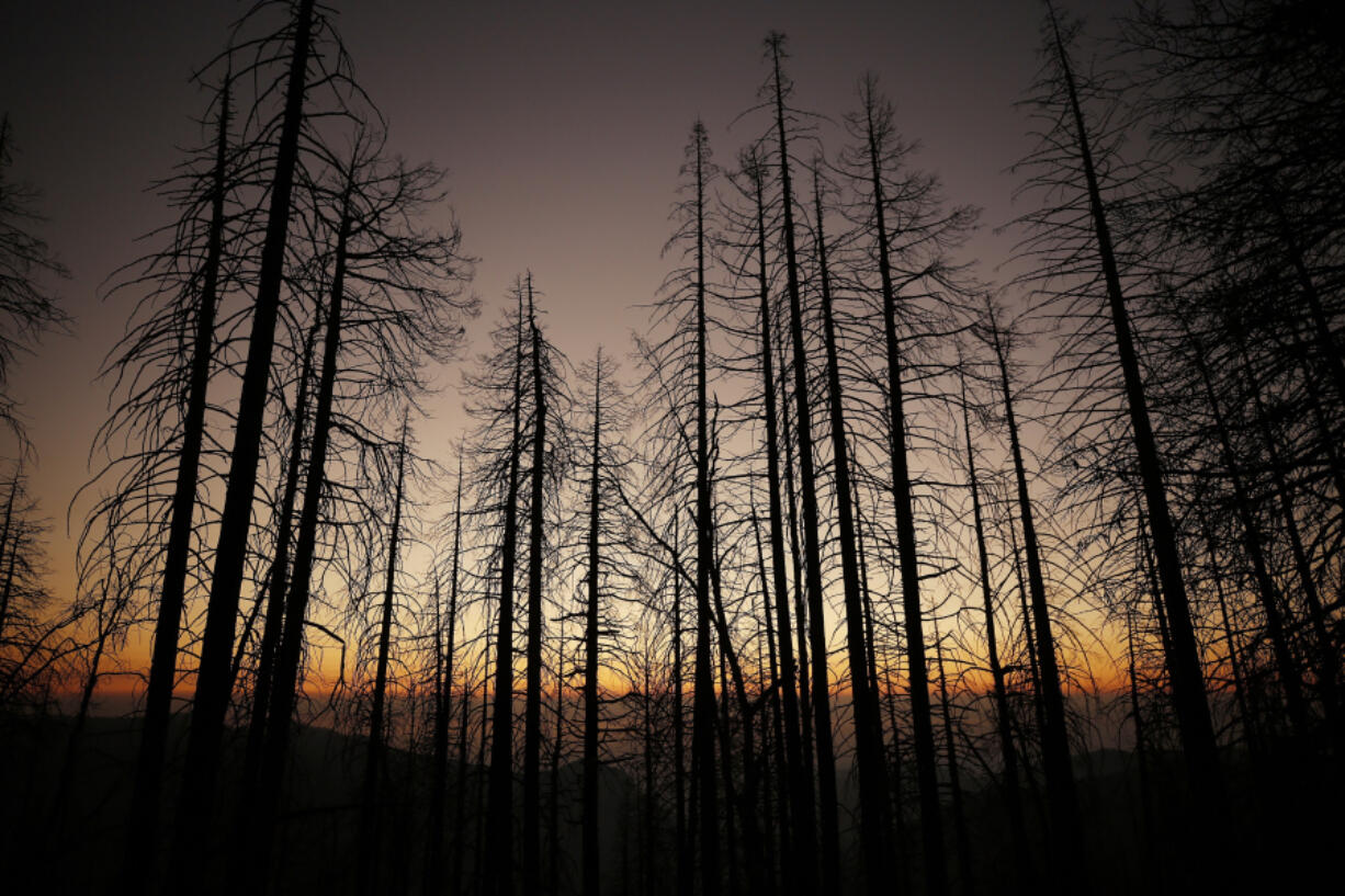 Sunset obscured by smoke-filled skies near Alder Creek Grove where Sequoia trees had grown on this Sierra Nevada ridgetop for well over 500 years. Giant Sequoia National Monument on Wednesday, Oct. 28, 2020, in Springville, California.