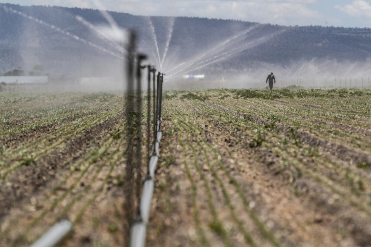 Klamath Falls, Oregon, Monday, June 7, 2021 - In Oregon, the tensions of a devastating drought ignite racism toward Native Americans Klamath Falls has long been a hotbed of extreme activity around water rights. Now in the second year of a devastating drought, the federal government has cut off annual water flows to family farms. In response, a group of locals associated with Ammon Bundy is threatening to take over a water canal and restore flows.