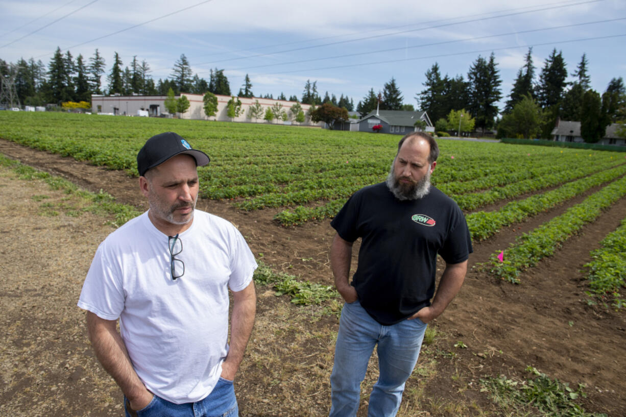 Scott Beaudoin, left, and Mike Beaudoin talk about the future of strawberries at Joe's Place Farms. Although the farm store is no longer open, the brothers are carrying on with a U-pick operation.