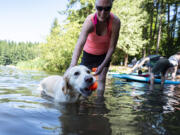 Carolyn Hyink of Tigard, Ore., tries to grab a tennis ball from 5-year-old English cream golden retriever Hannah on Saturday at Battle Ground Lake State Park. Extreme temperatures forecast for this weekend are likely to bring large numbers of people to the water, prompting warnings that rivers and streams still remain dangerously cold.