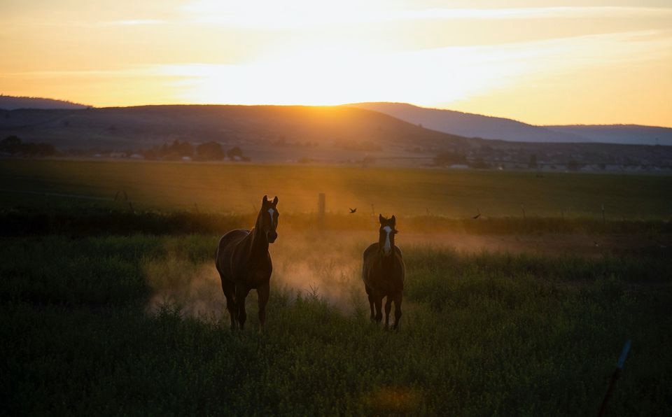 Some people in the eastern and southern parts of Oregon worry that their way of life is disappearing.