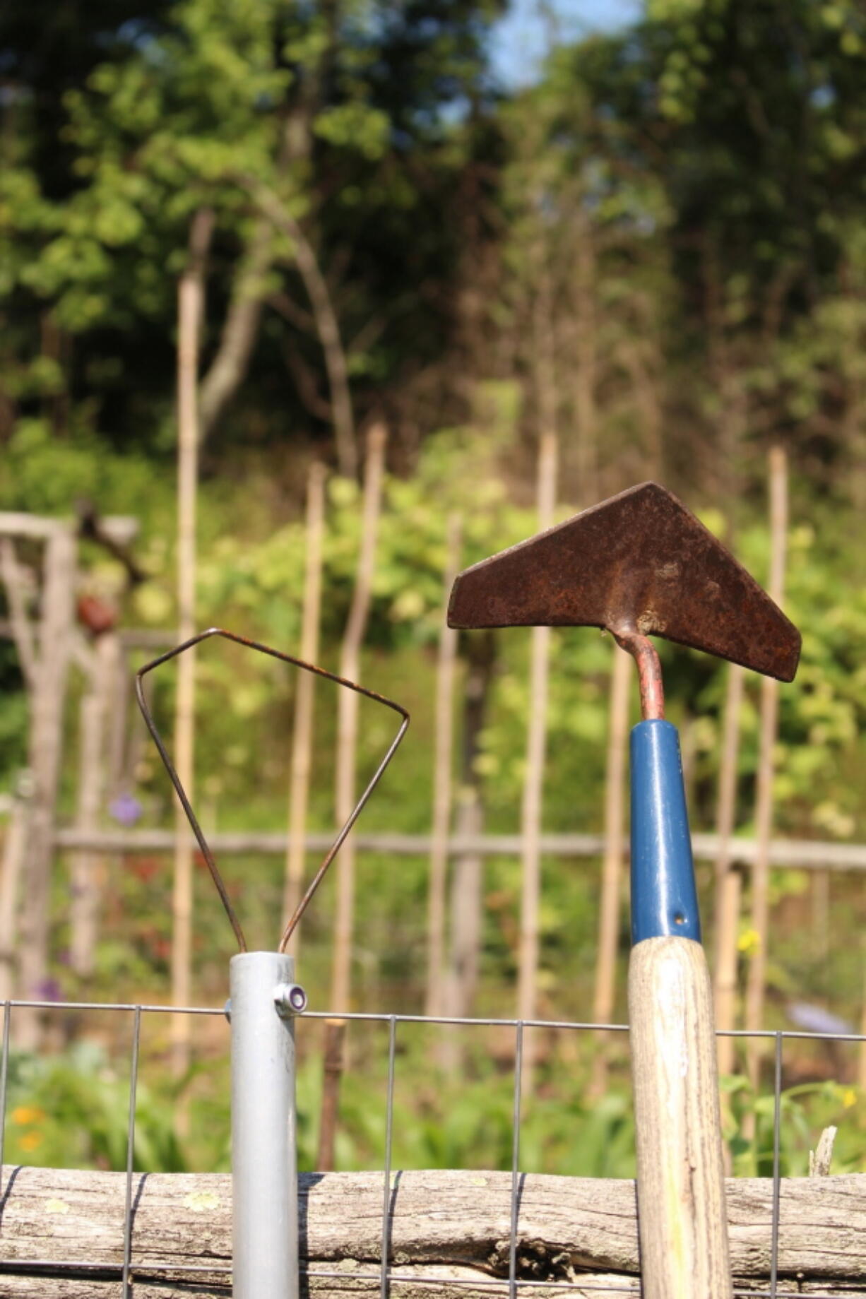 The wire weeder and the winged weeder are two hoes that effectively and easily skim just beneath the soil surface to keep weeds in check.