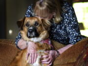 Linda Oswald hugs her dog Tilly on Tuesday at their home in Hayden, Idaho. Tilly vanished for two days after being ejected from a vehicle during a car accident.