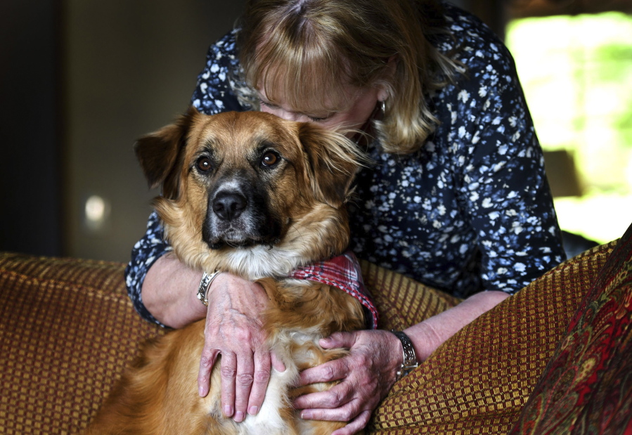 Linda Oswald hugs her dog Tilly on Tuesday at their home in Hayden, Idaho. Tilly vanished for two days after being ejected from a vehicle during a car accident.