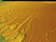 These 3D perspective views of the seafloor bathymetry from multibeam sonar offshore of South Carolina show numerous grooves carved by drifting icebergs. As iceberg keels plow into the seafloor, they dig deep grooves that push aside boulders and piles of sand and mud along their tracks. Sediment cores from nearby buried iceberg scours were used to determine when these icebergs traveled south along the coast. (Jenna Hill/U.S.