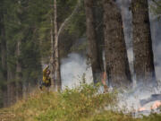 Washington Department of Natural Resources firefighter Chris Werner of Chehalis sprays the south fireline of the Archer Mountain fire on Wednesday, Sept. 6 2017, in Skamania County.