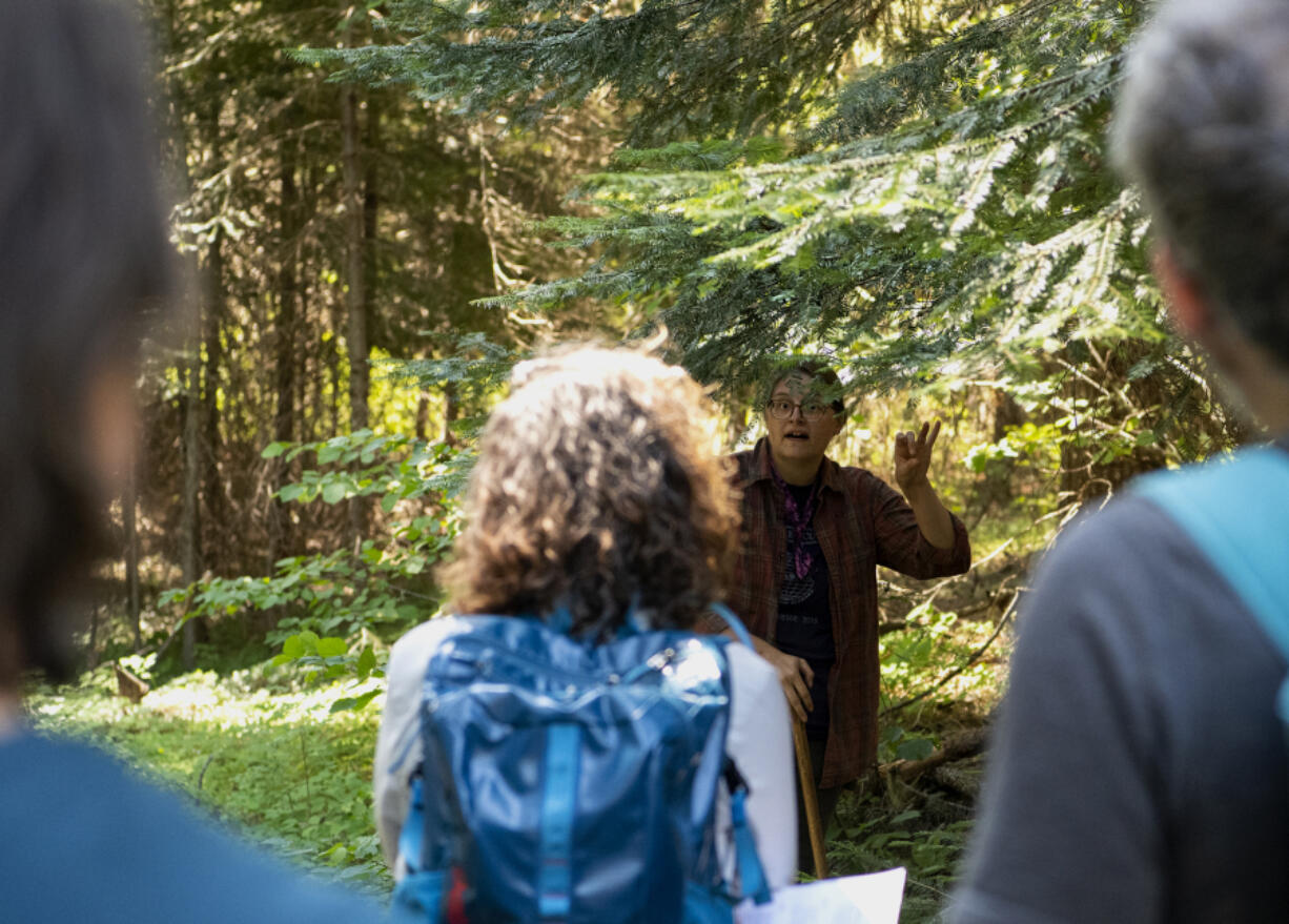 Cascade Forest Conservancy science and stewardship manager Amanda Keasberry demonstrates tagging smaller trees that sit beneath the canopies of old-growth ponderosa pines. Professional crews with the U.S. Forest Service will look for these tags when they come through later, thinning out smaller trees that can spur destructive wildfires.