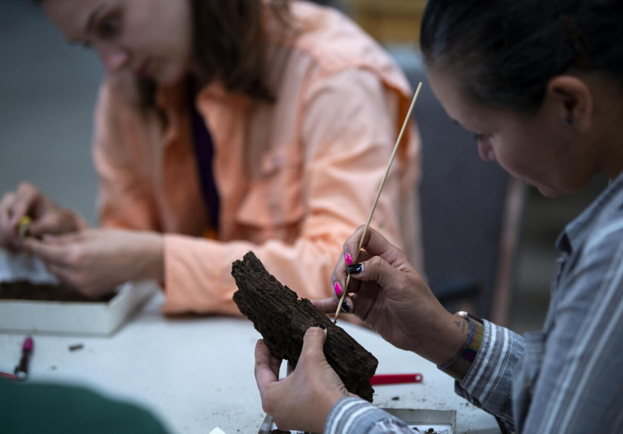 Field School student Shyrelle Hurtado cleans a piece of wood.