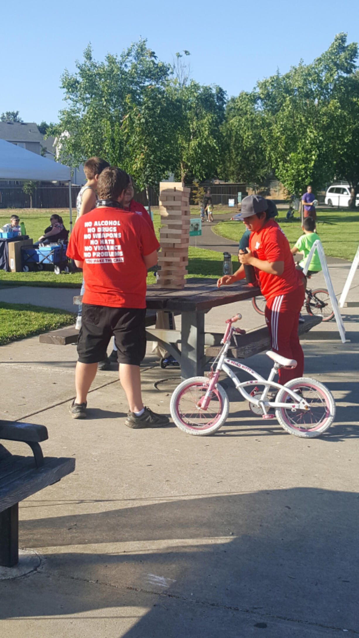 CARTER PARK: Party in the Parks, a program by Vancouver Parks and Recreation, kicked off on July 6 at Brickyard Park.