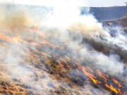 People stand behind the fire line as the flames spread through dry grasses at the Steptoe Canyon Fire  Thursday, July 22, 2021 in Colton, Wash.