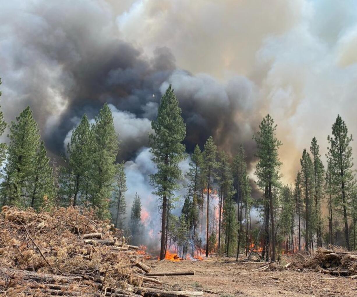 At 467 square miles — nearly 300,000 acres — the Bootleg Fire is approximately the size of Los Angeles and nearly 40% of the size of Rhode Island.