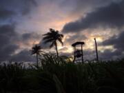 Wind moves the grass and palm trees under a cloudy sky after the passage of Tropical Storm Elsa in Havana, Cuba, Monday, July 5, 2021.