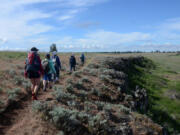 Volunteers who helped build trails over three years at the U.S. Bureau of Land Management's Fishtrap Lake Recreation Area, southwest of Spokane, enjoy the fruits of their labor while hiking the north loop in May 2019.